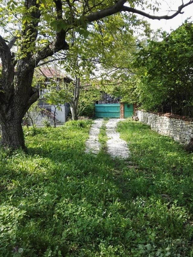 Villa BeeFree Gorsko Slivovo Exterior foto