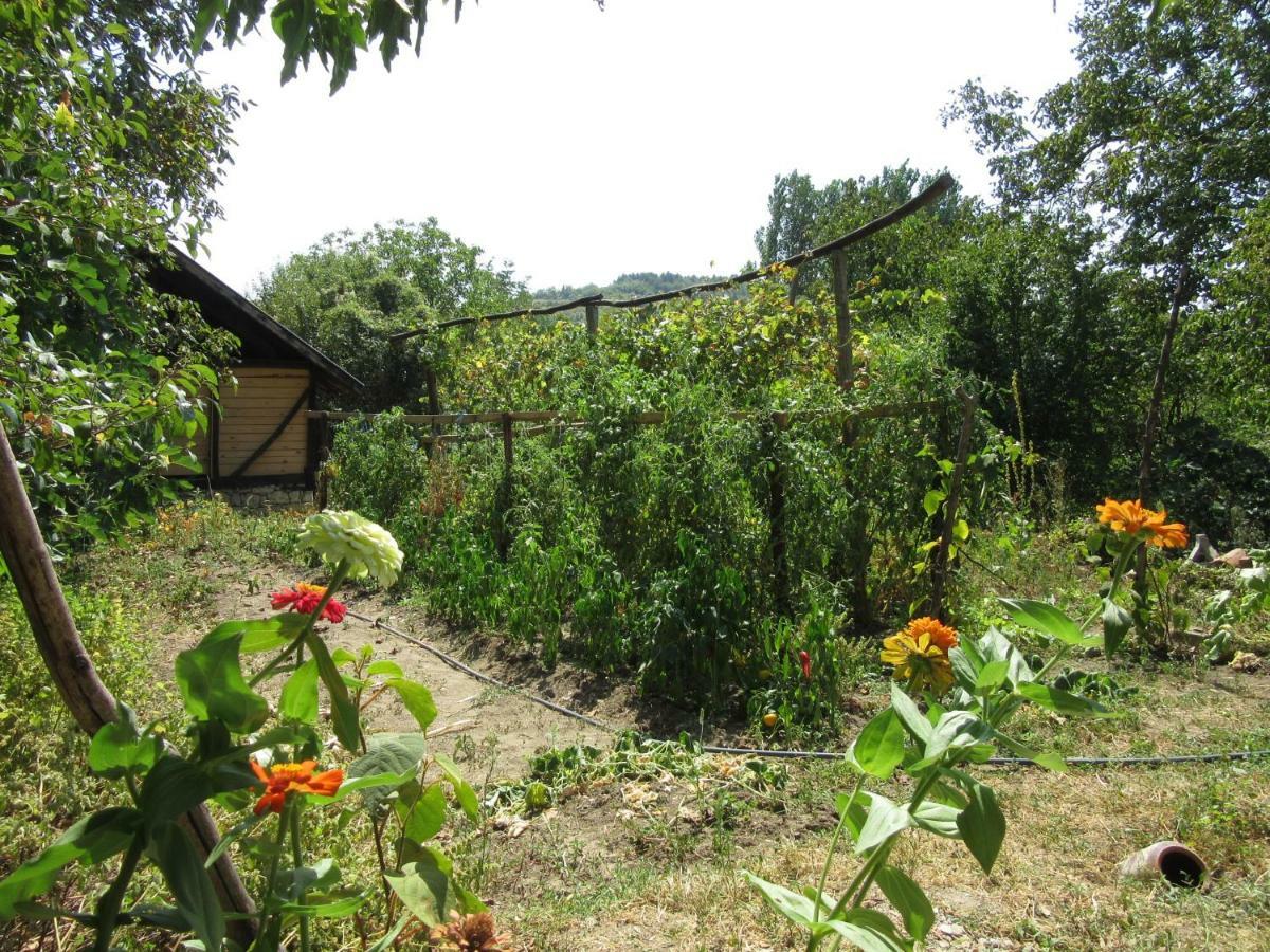 Villa BeeFree Gorsko Slivovo Exterior foto